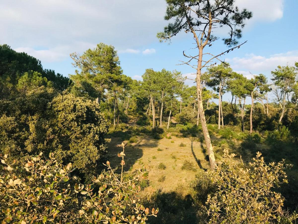 180° Vue Ocean, T3 Marin Haut De Gamme Saint-Jean-de-Monts Eksteriør billede